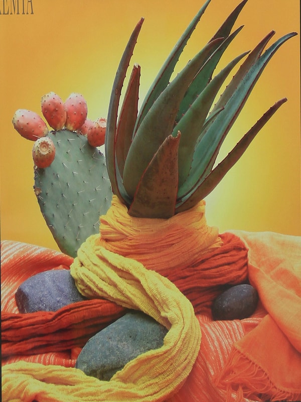 Cactus